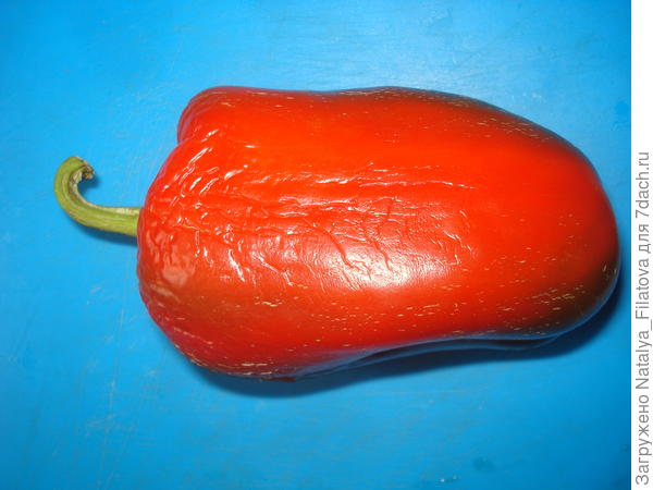 "Богатырское здоровье"