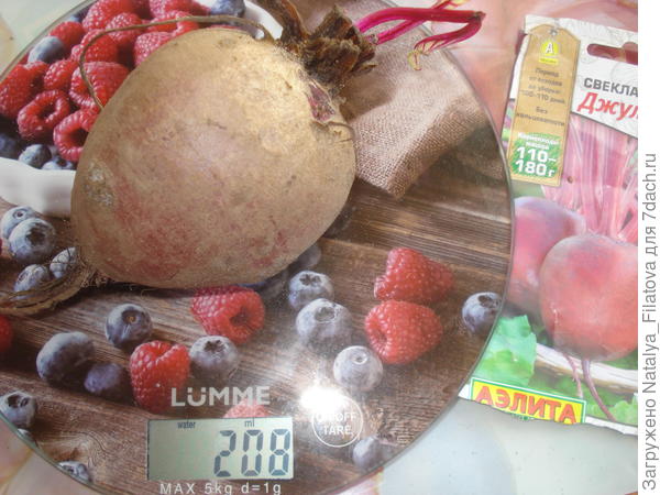 вес экземпляра