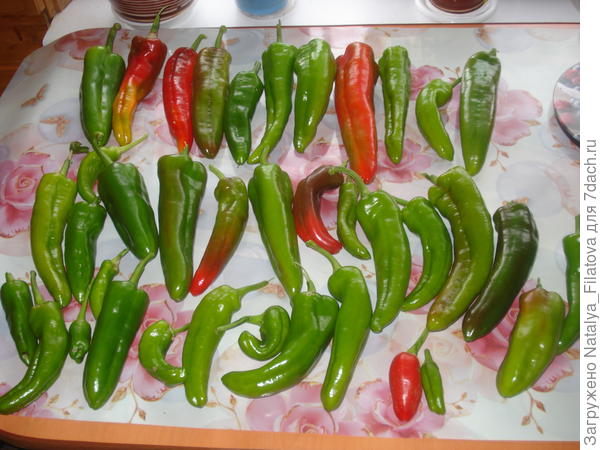 "Испанский сладкий"