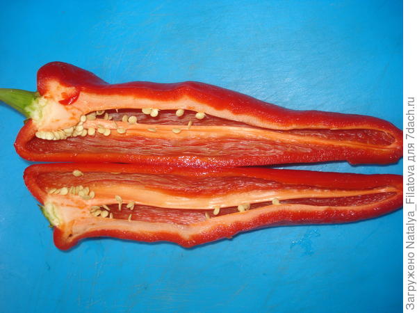 "Испанский сладкий" в разрезе