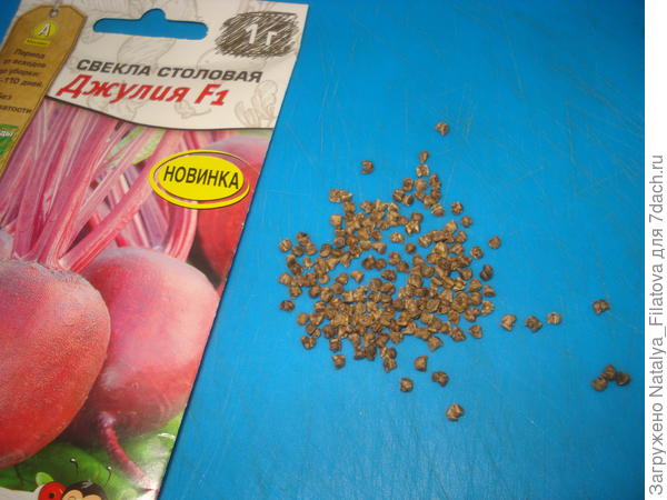 семян много, они крупные