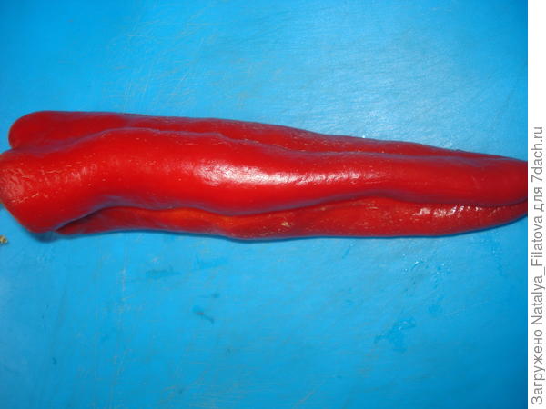 сорт "Испанский сладкий"