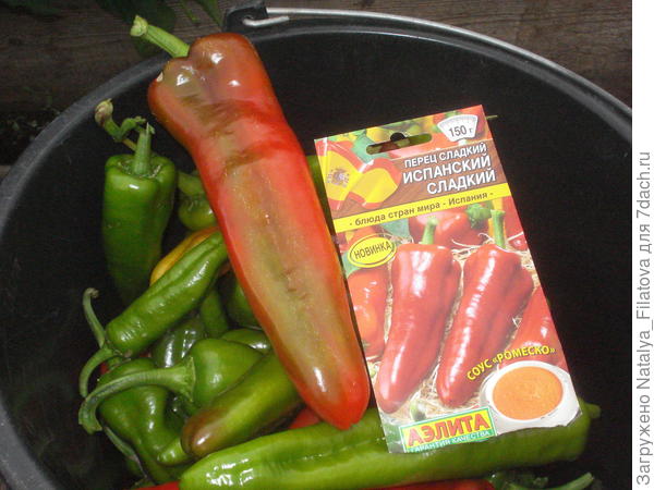 весь урожай перца "Испанский сладкий"