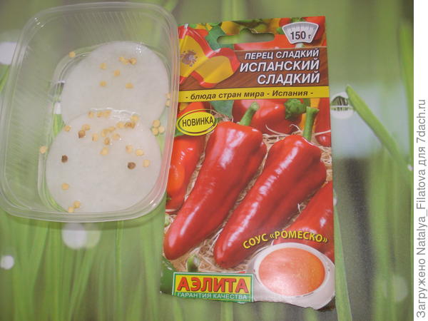 семена