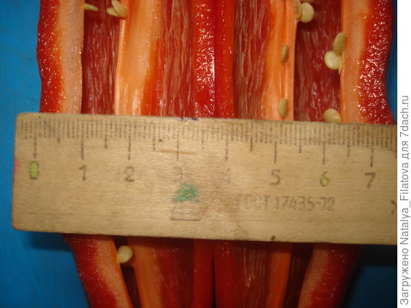 "Испанский сладкий"