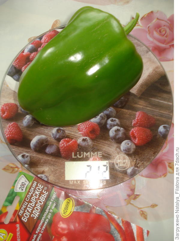 "Богатырское здоровье"