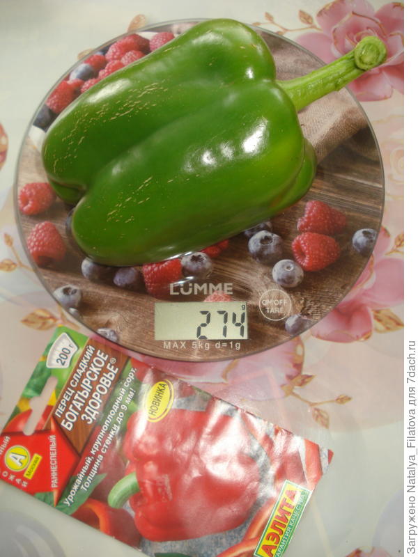 вес экземпляра