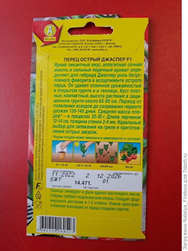 оборотная сторона