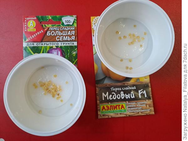 замачивание