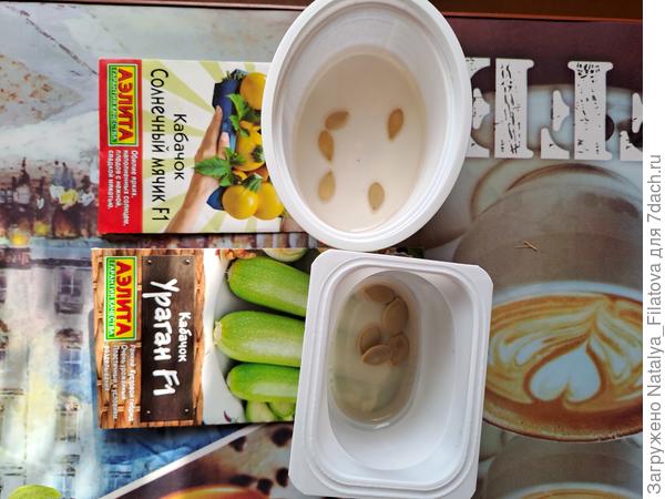 через сутки