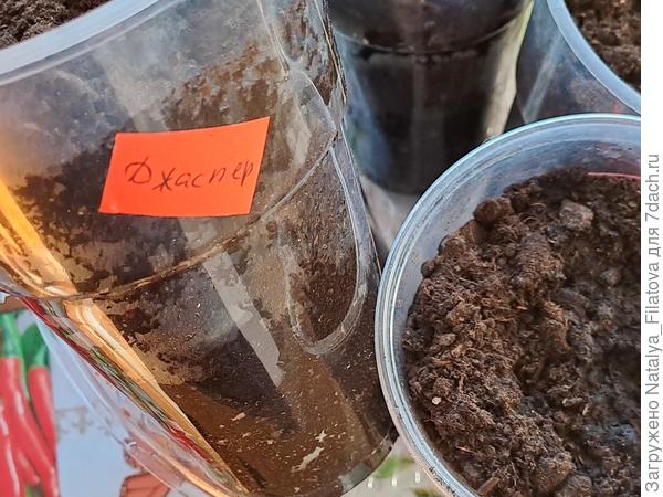 маркировка