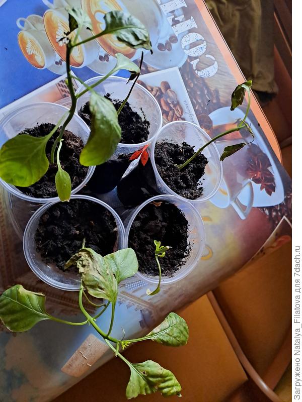 катастрофа