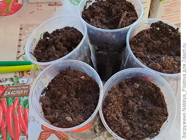 грунт в стаканчиках