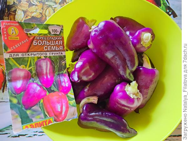 "Первый урожай"