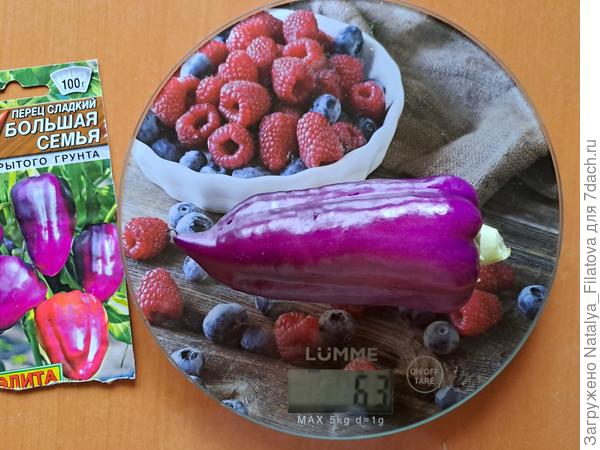 вес самого большого экземпляра