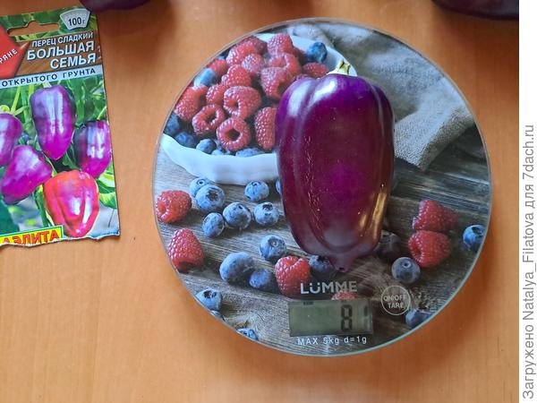 сорт "Большая семья"