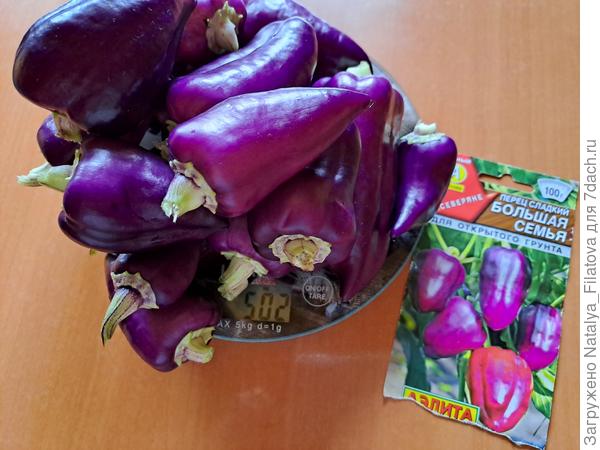 общий вес первого урожая