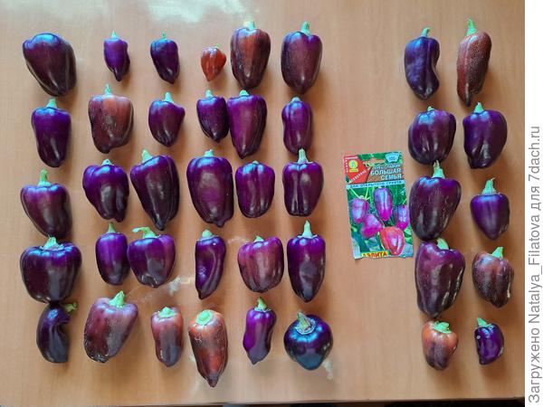 весь урожай