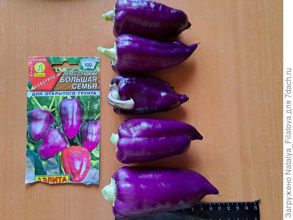 длинна в сантиметрах