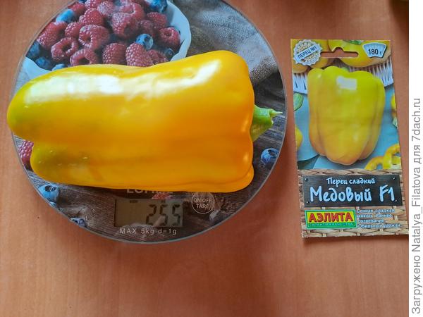 сорт "Медовый"