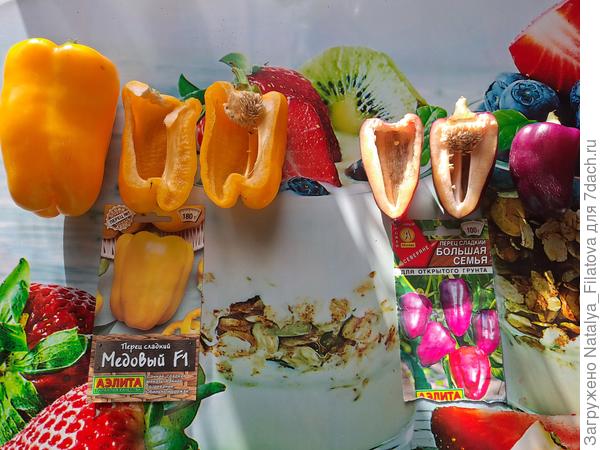 перец в разрезе