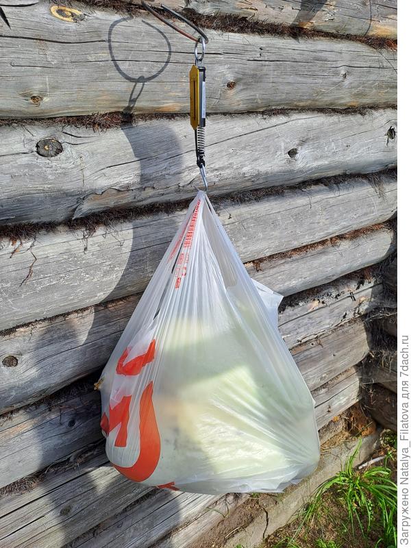 взвешивание урожая №3