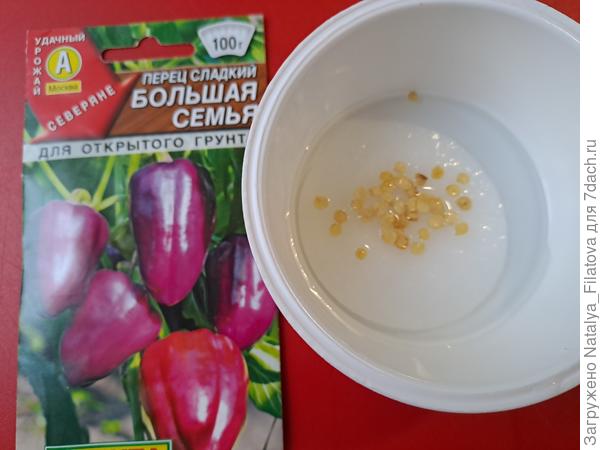 семена сорта "Большая семья"