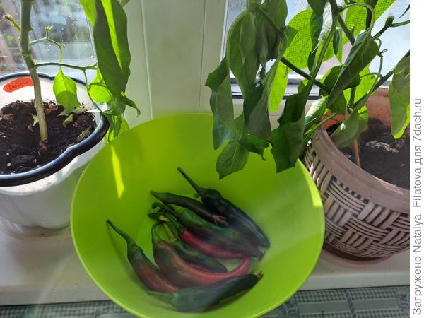 урожай собран