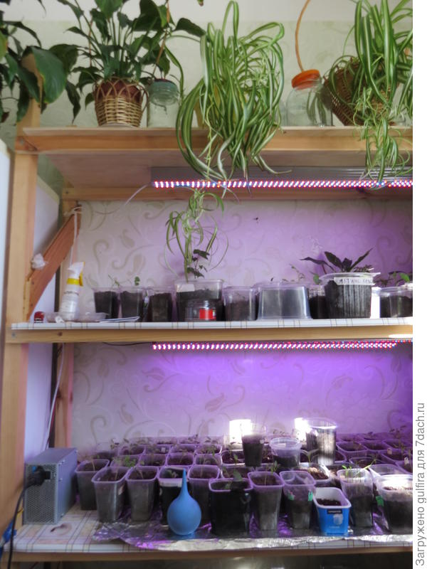 этажерка на кухне (брус +фанера)