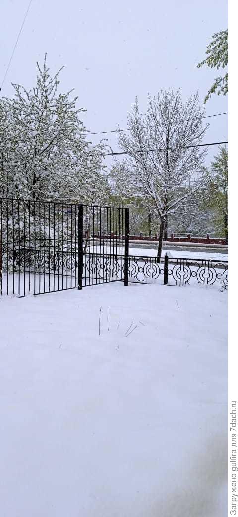 Екатеринбург, местное время 17-15. снег все еще идет.