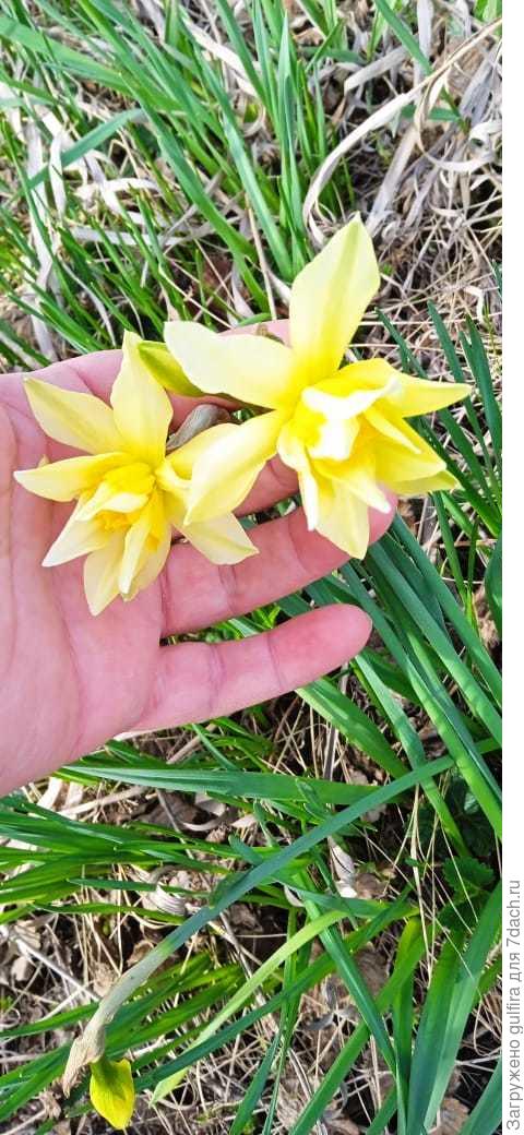 тоже Екатеринбург, дата 30 апреля