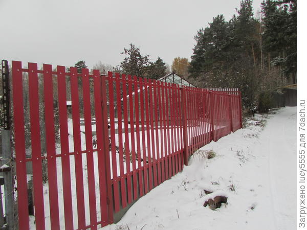 металлический штакетник