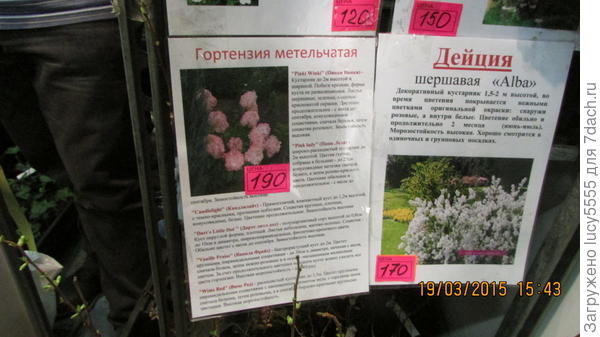 вднх