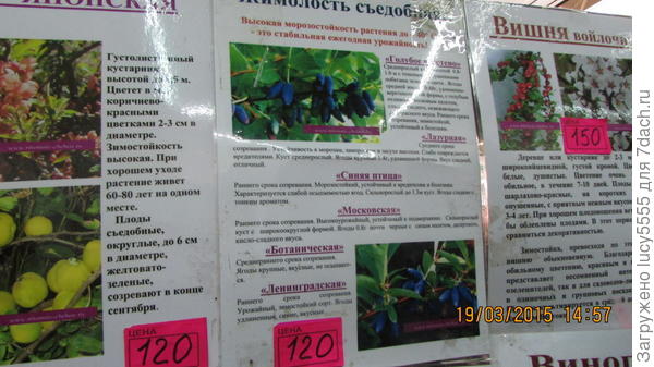 вднх