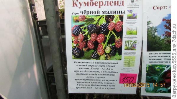 вднх
