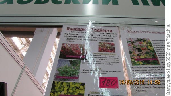 вднх