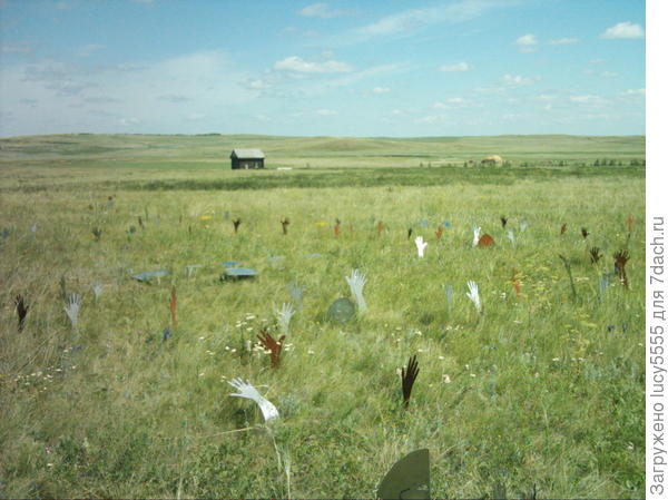 руки