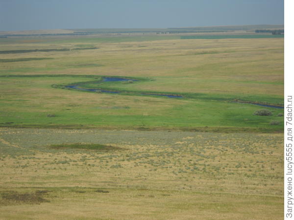 Караганка