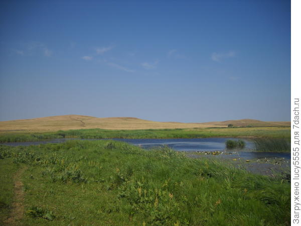 караганка