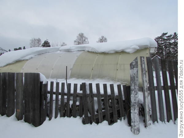 снег