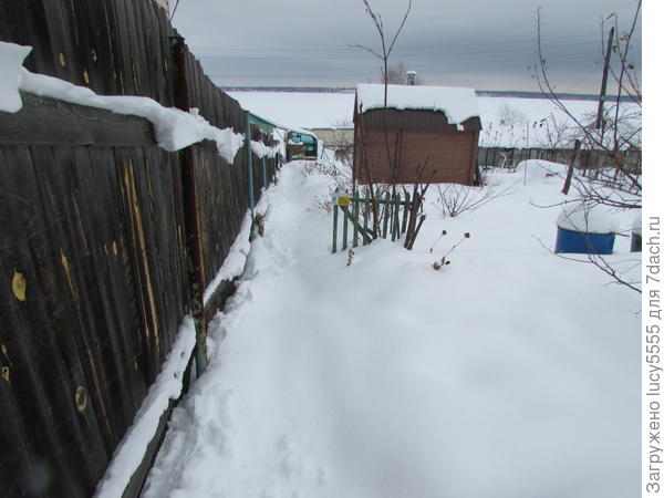дорожка в снегу по колено