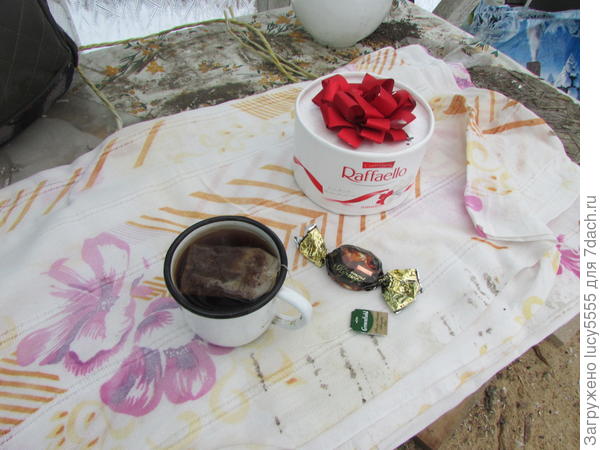 чай