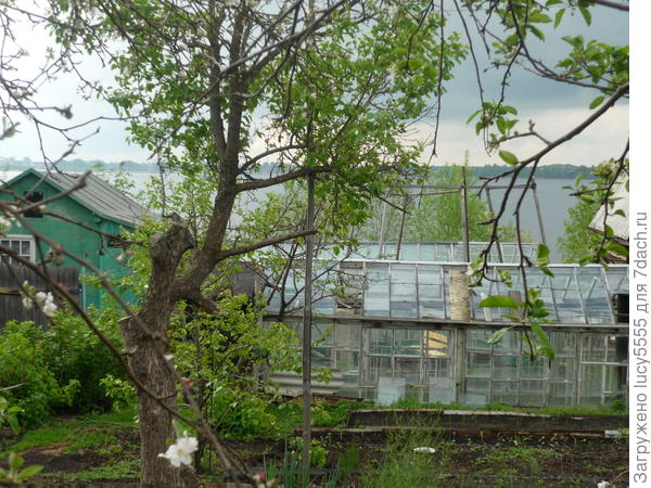 Унылое зрелище