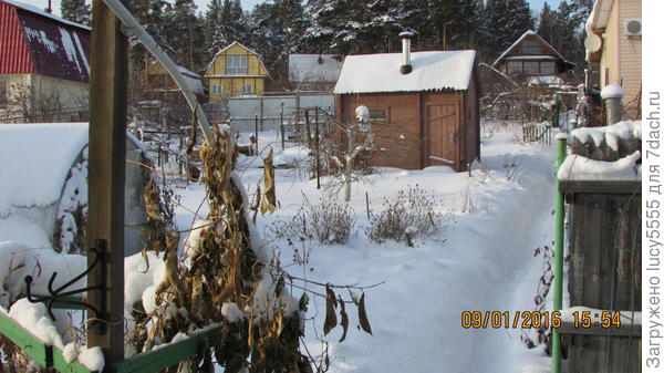 Опять зимний пейзаж