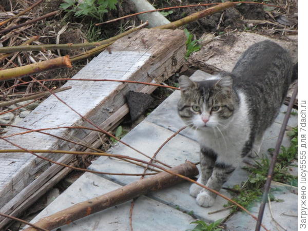 в гости пришёл, а тут я с фотоаппаратом