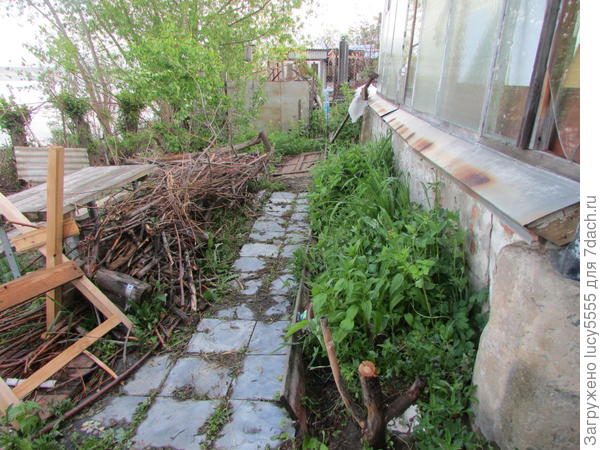 дорожка расчищена