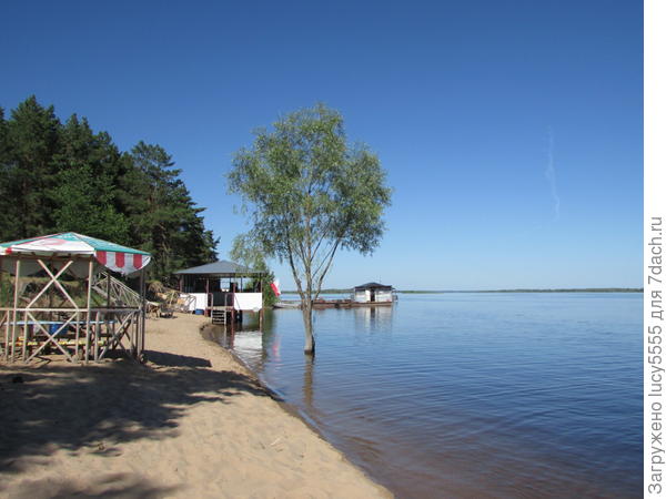 Деревья в воде, а когда плаваешь, под собой ощущаешь кустарники