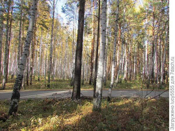 Садовая дорога