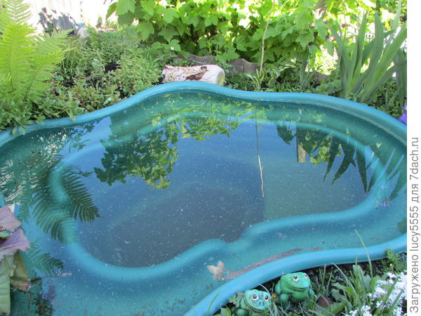 Прудик, конечно, не озеро, но тоже отражает