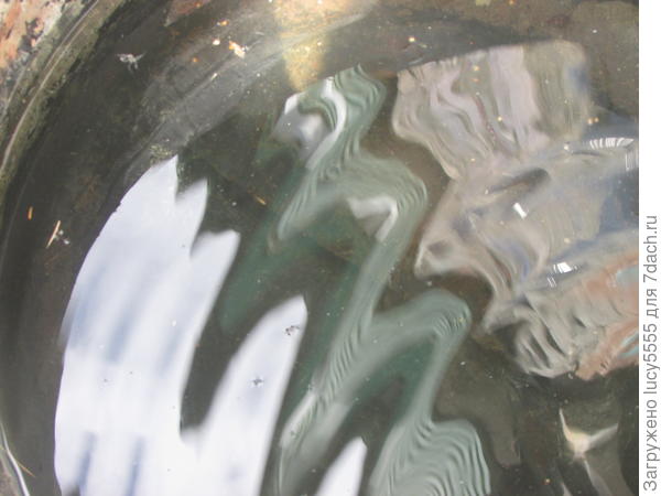 тихо шифером шурша, крыша едет не спеша. разбушевалась, похоже)))